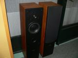 Producto: Dynaudio Audience 62