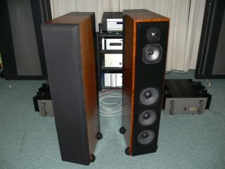 Producto: Revel F 50